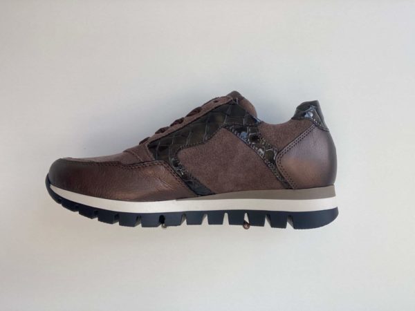 SNEAKER DREAM KROKO SMOG H