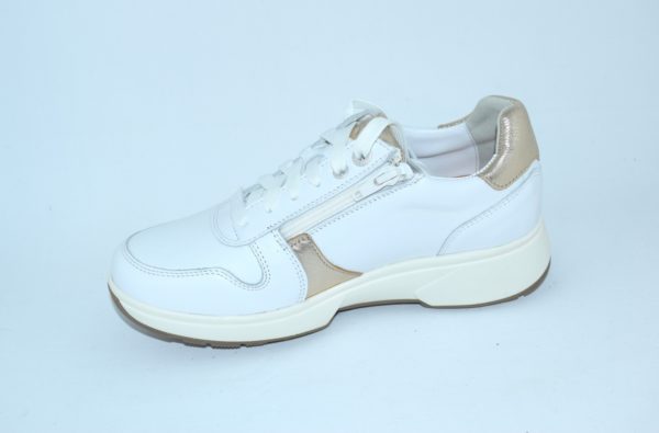 Modena White HX