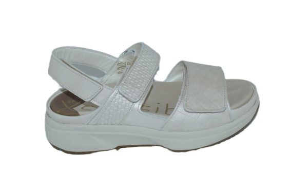 Aruba soft pearl H