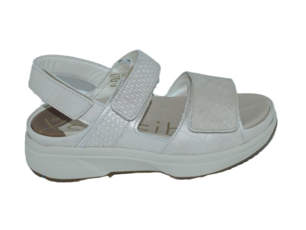Aruba soft pearl H
