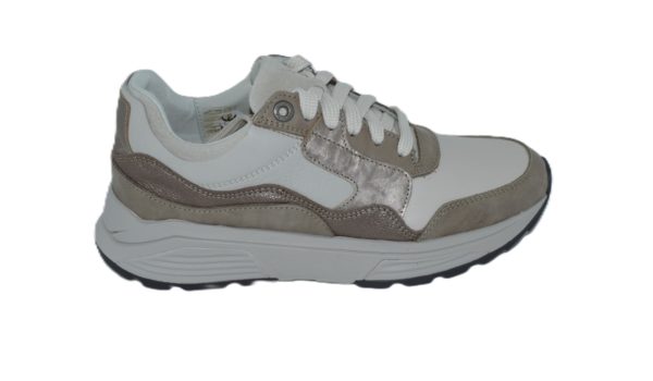 Golden gate Lady taupe Combi GX