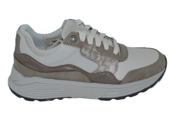 Golden gate Lady taupe Combi GX