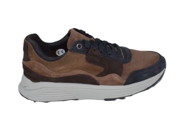 Golden gate Men Navy Combi HX