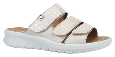 Calypso gold slipper K